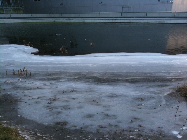 La glace a déjà commencé à reculer sur la Saône et les points d'eau - LyonMag