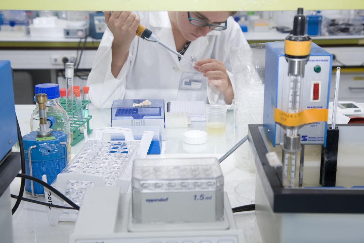 Traitement Contre Le most cancers Des Testicules