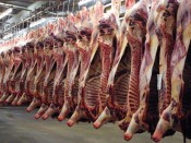 Les abattoirs de Lyon à Corbas - Photo Bibliothèque Municipale de Lyon