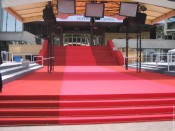 Les célèbres marches du Festival de Cannes - DR