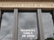Les Hospices civils de Lyon se font voler dans les plumes par le Canard enchaîné - DR
