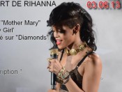 Rihanna, idole de nombreux lyonnais - DR projet DWT Lyon