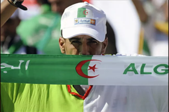 Violences en marge du match Belgique-Algérie : les personnes interpellées finalement laissées libres