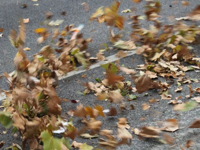 Rhône : des lignes de trains perturbées à cause de feuilles mortes