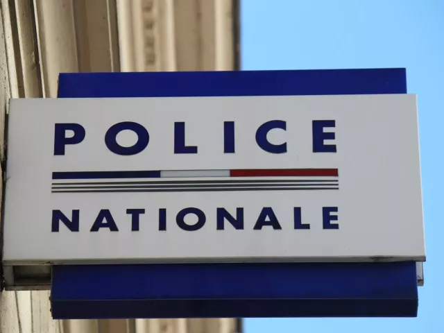 Il vole dans une société et refuse de se soumettre au contrôle de police à Lyon