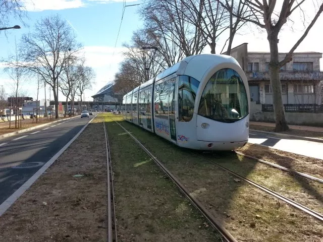 Lyon : une femme enceinte percutée par un tramway