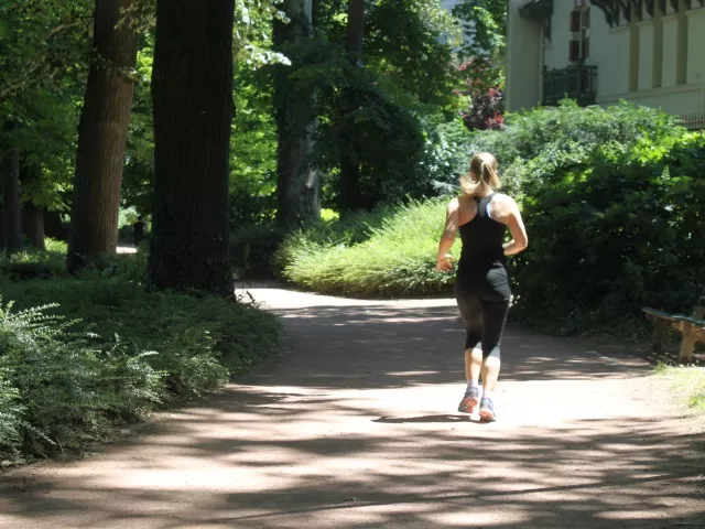 Lyon : il surgit d'un buisson et s'exhibe devant une joggeuse