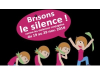 Journ&eacute;e internationale contre les violences faites aux femmes : Lyon se mobilise