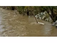 Inondations dans le Rh&ocirc;ne : &eacute;tat de catastrophe naturelle constat&eacute; pour Cerci&eacute; et Saint-Jean-d'Ardi&egrave;res