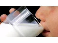 Prix du lait : les producteurs boient la tasse
