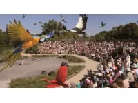 Le Parc des Oiseaux veut augmenter ses échanges d'animaux avec le monde entier