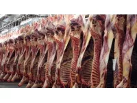 Rhône-Alpes : la filière viande prête à bloquer Lyon si elle n'est pas entendue