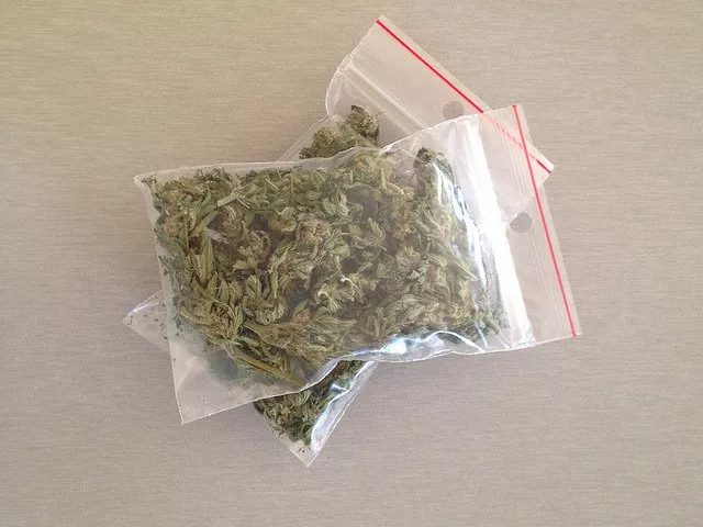 Presque 2,5 kilos de cannabis retrouvés dans un appartement à Vénissieux