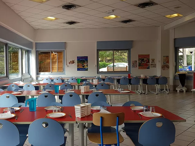 Cantines scolaires à Lyon : "encore trop peu d'efforts" sur les repas végétariens