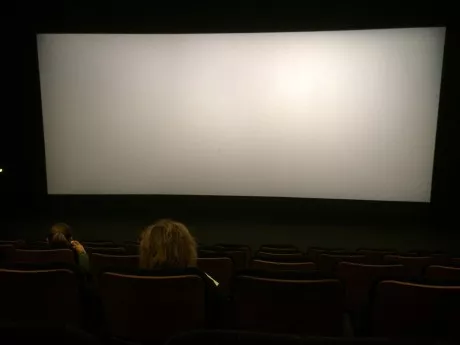 Cinémas et théâtres fermés à Lyon : le Conseil d’Etat valide la décision du gouvernement