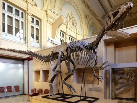 Le squelette de dinosaure vendu pour 1.128.000 €