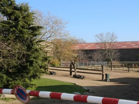 La Région Auvergne-Rhône-Alpes débloque 2 millions d’euros pour aider les centres équestres