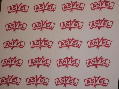 ASVEL Féminin : trois nouveaux cas de Covid-19, les deux prochaines rencontres reportées