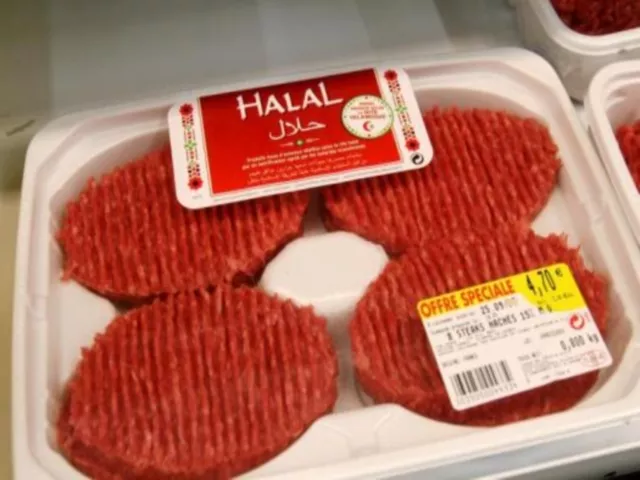 Viande halal à Villeurbanne : les jeunes UMP disent non