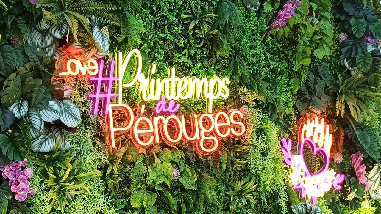 Le printemps de Pérouges déménage et s'offre M et Michel Polnareff