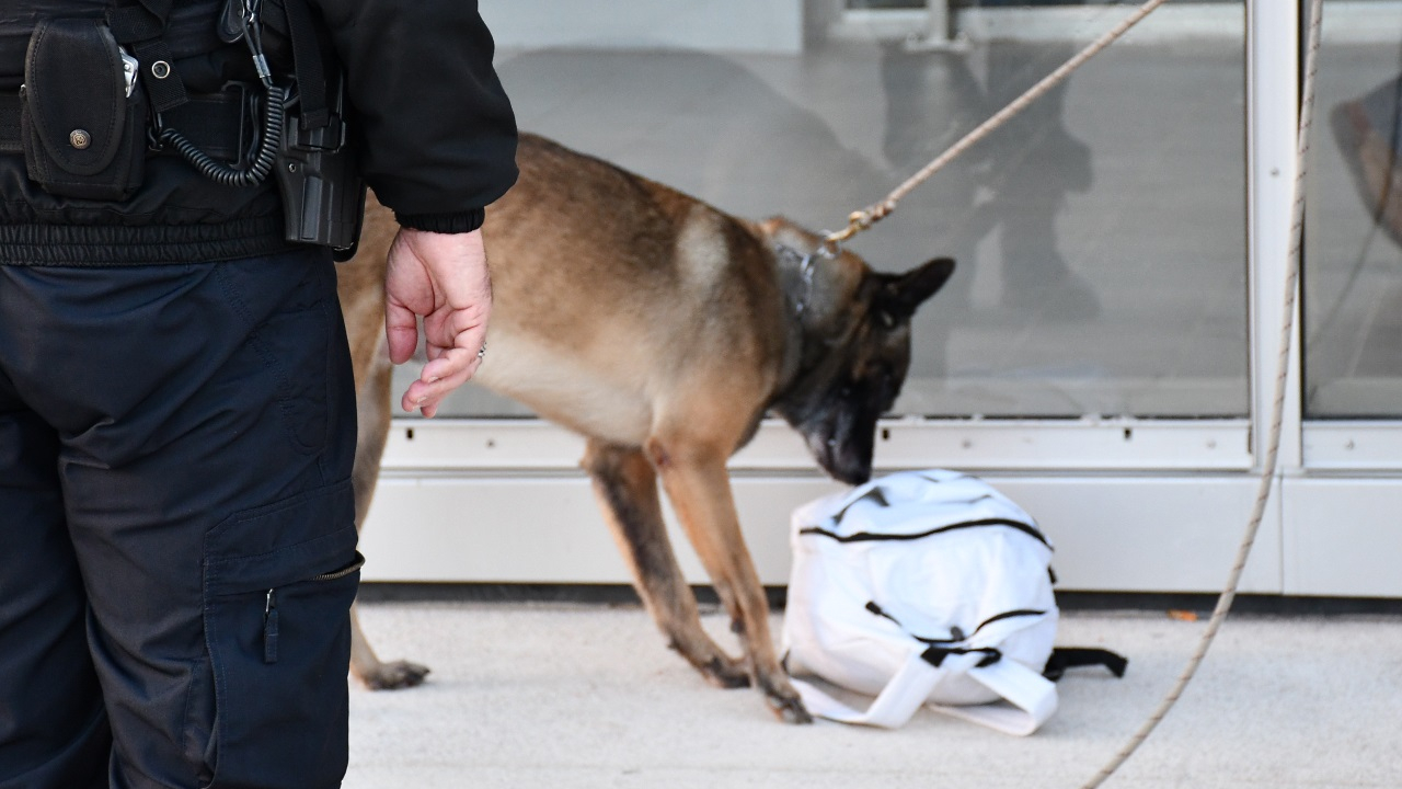 Vénissieux l'appartement de la nourrice repéré car il sentait trop le
