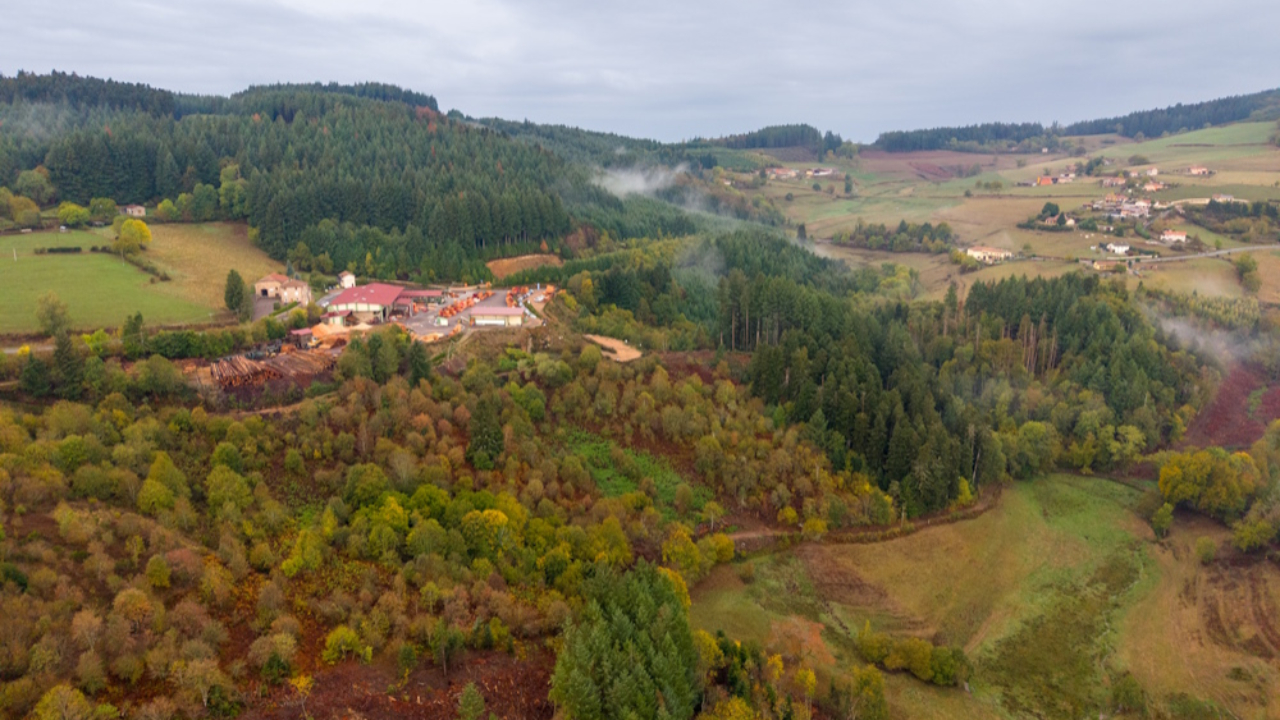 Forêts du Beaujolais : 10 500 m³ de bois dépérissant après les trois canicules de l’été