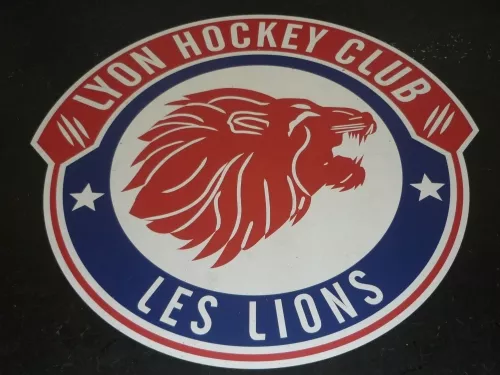 Hockey : revirement de situation pour les Lions
