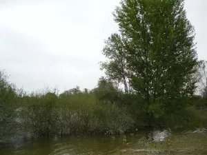 Le Grand Parc de Miribel Jonage signe une charte de jumelage avec le Parc fluvial du Pô turinois