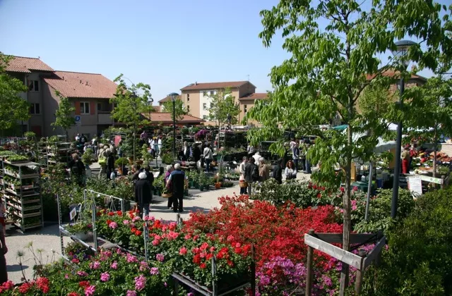 Bon plan week-end : le Marché aux Fleurs de Saint-Didier au Mont d’Or