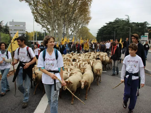 Des chèvres et des moutons dans les rues de Lyon : les agriculteurs manifestent ce jeudi
