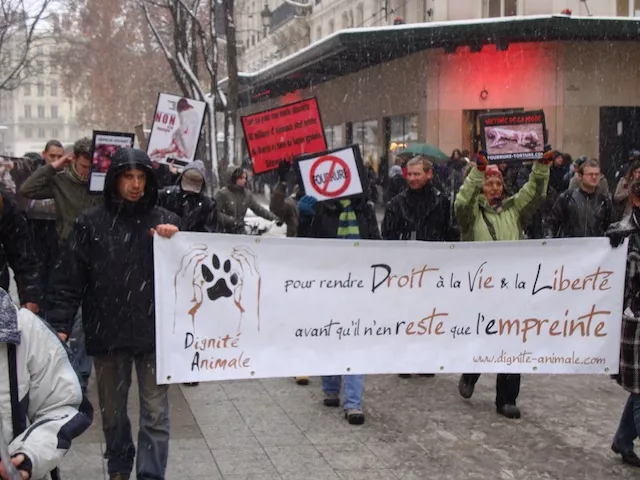 Manifestation anti-fourrure dans les rues de Lyon