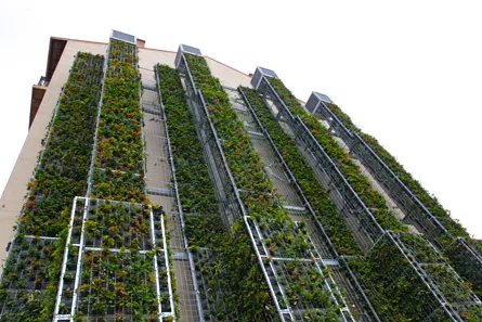 Le plus haut mur végétal autoportant de France a été inauguré jeudi à Villeurbanne