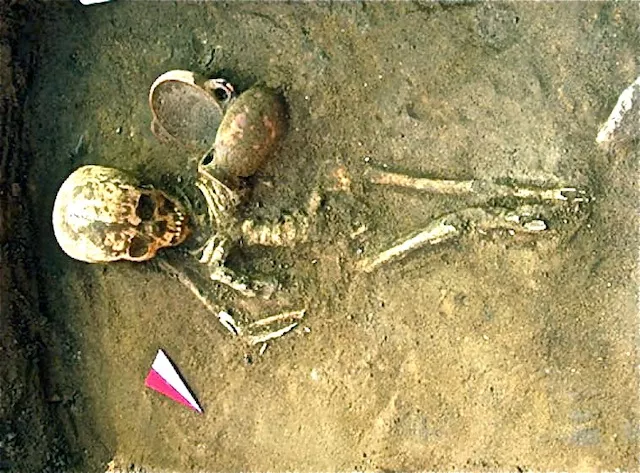 Un squelette de petite taille retrouvé sur un chantier à Communay