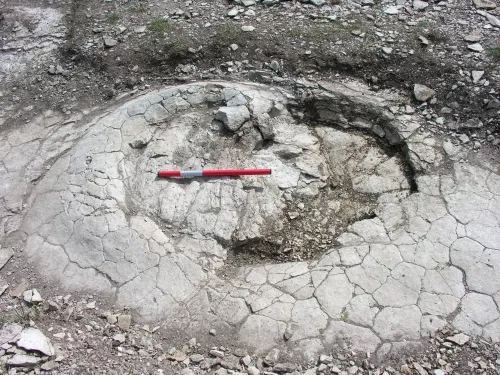 Des traces de dinosaures découvertes dans l'Ain