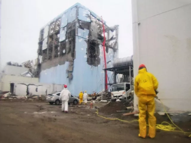 Fukushima : le consulat du Japon à Lyon entretient le souvenir