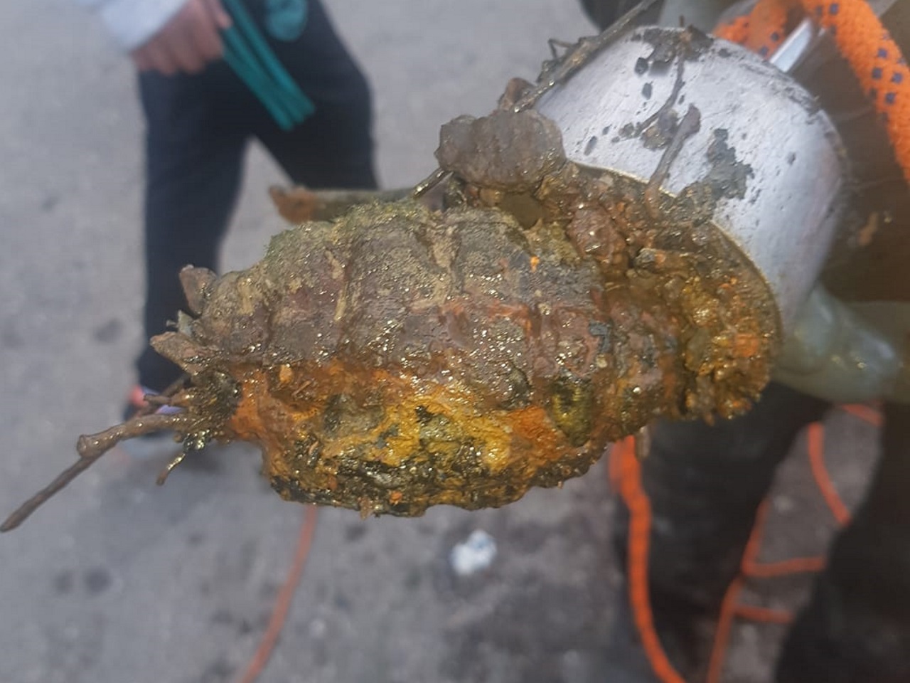 Lyon : une grenade dégoupillée pêchée à l'aimant dans la Saône