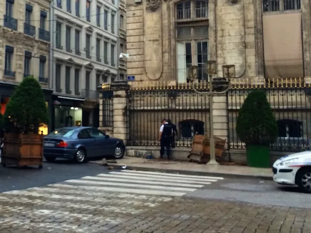 Lyon : il fonce avec sa voiture dans un arbre devant l'Hôtel de ville