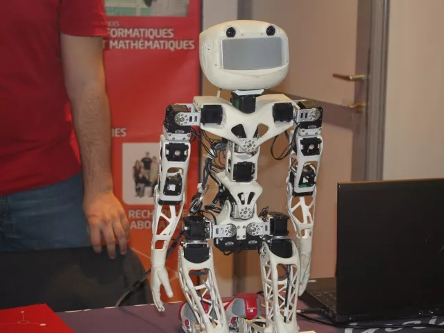 Lyon : les robots d'Innorobo ont fait le plein en 2014