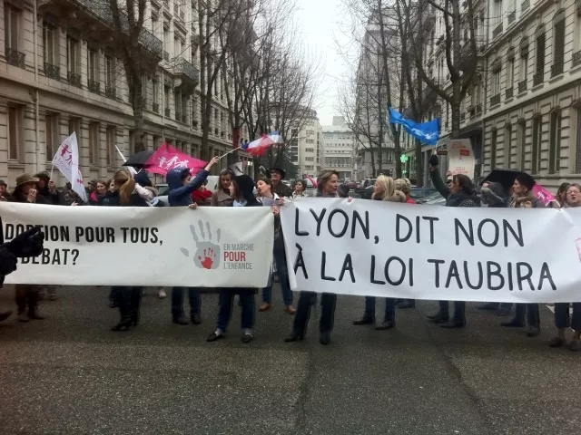 Lyon : une quarantaine d'anti-mariage pour tous manifestent devant la préfecture