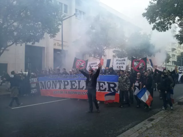 Un millier de supporters manifestent à Lyon contre l'utilisation du flash-ball