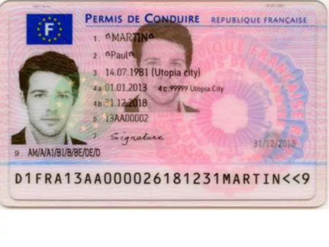 Permis de conduire volé ou perdu : les Lyonnais devront payer 25 euros