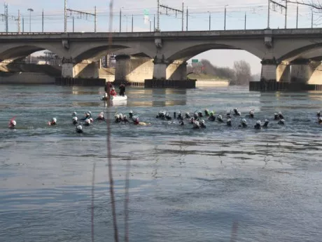 Traversée du Rhône: 340 nageurs ont plongé dans le grand bain