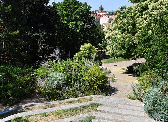 Lyon : certains parcs de la ville voient leurs horaires élargis pour davantage de fraîcheur cet été