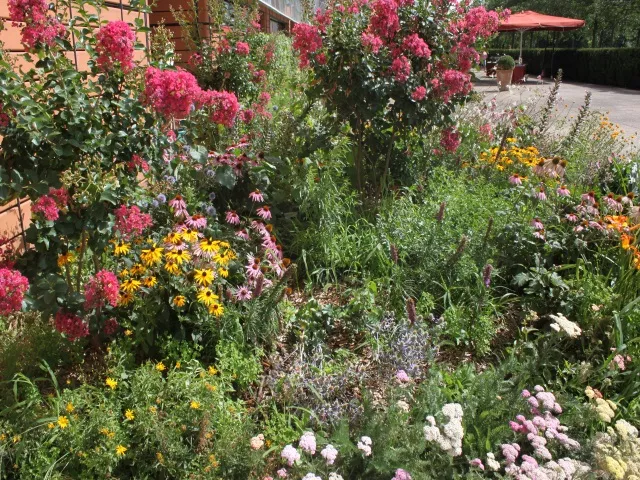 Parc Montel : quand poésie rime avec botanique