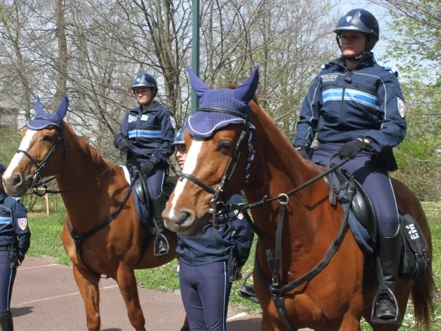 Lyon se dote d'une police &eacute;questre