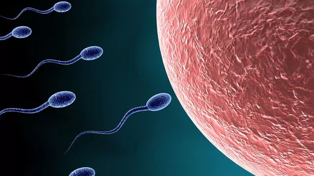 Inquiétude pour le sperme des Lyonnais