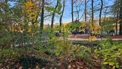 Rafales de vent à plus de 70 km/h : les parcs et les cimetières de Lyon ferment en urgence