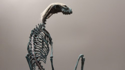 &Agrave; Lyon, l&rsquo;exposition X&eacute;nomorphe explore l&rsquo;alt&eacute;rit&eacute; &agrave; travers la science-fiction