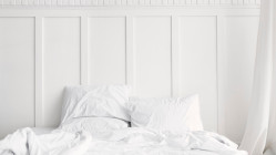 Punaises de lit : apr&egrave;s la psychose nationale, une r&eacute;ponse humaine et locale &agrave; Lyon