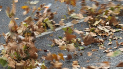 Alerte aux vents violents &agrave; Lyon : les parcs et les cimeti&egrave;res ferm&eacute;s jusqu&rsquo;&agrave; nouvel ordre
